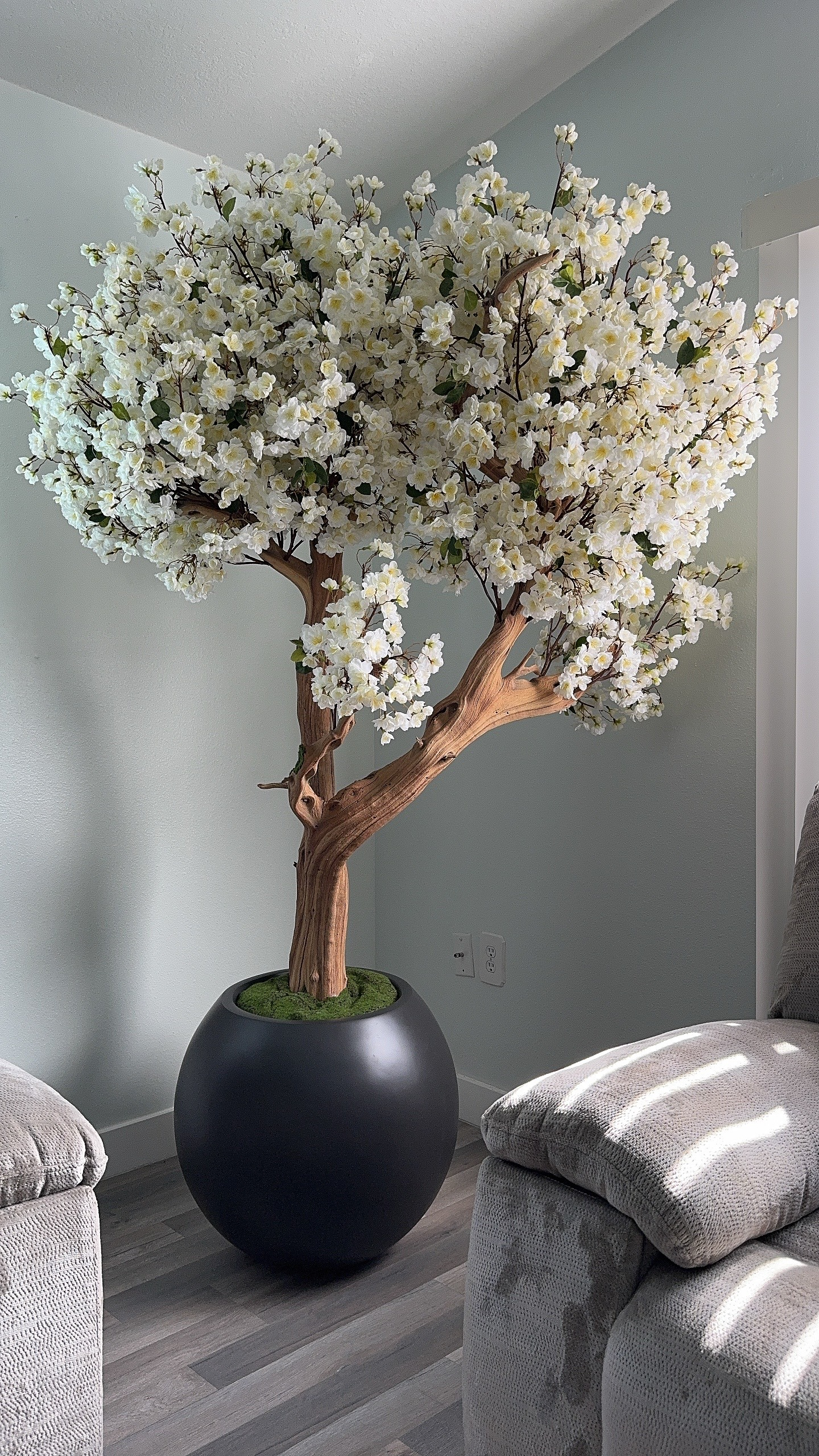 Weißer Kirschblütenbaum in einer runden, mattschwarzen Vase