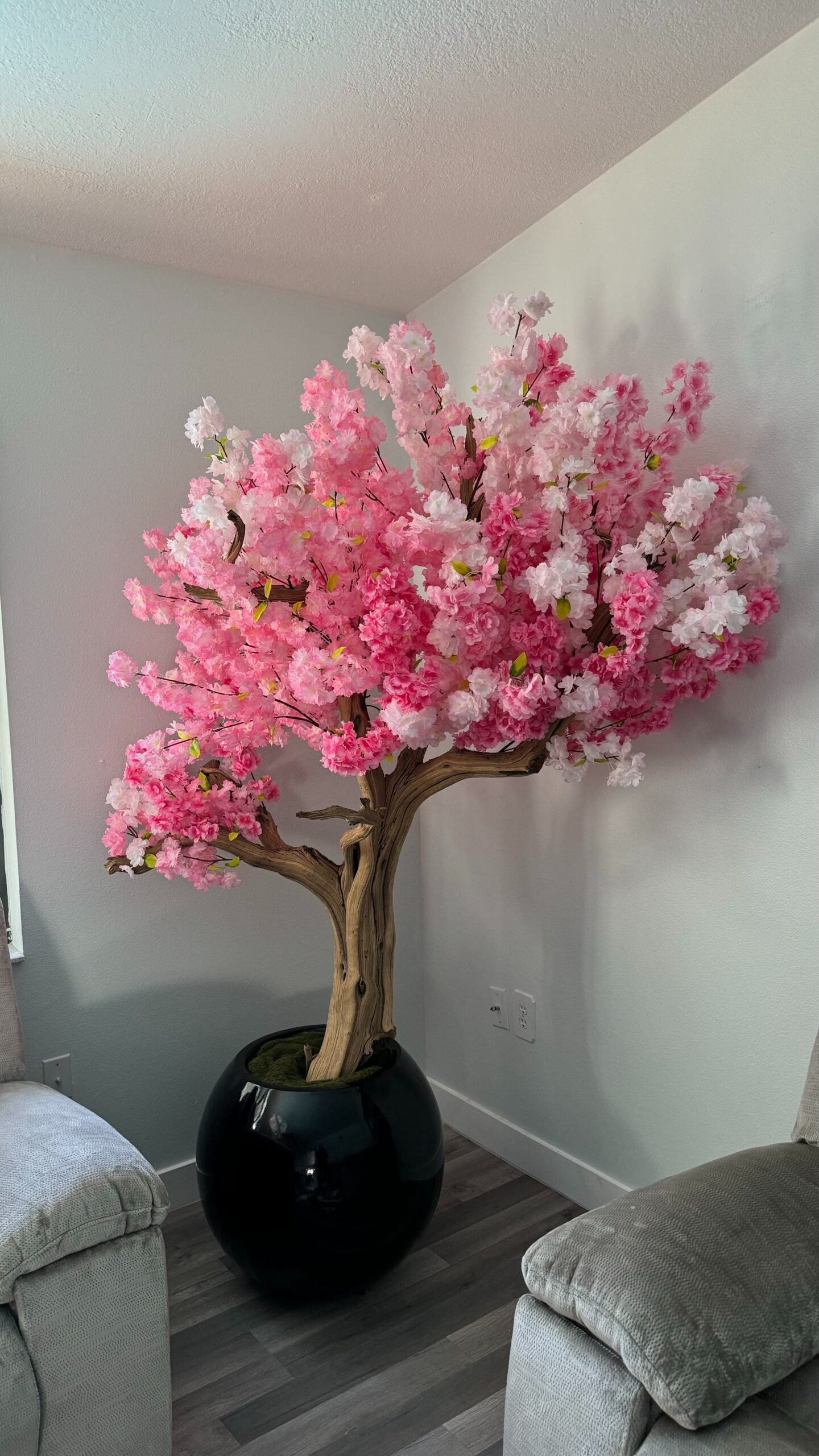 Rosa Kirschblütenbaum in einer schwarzen runden Vase