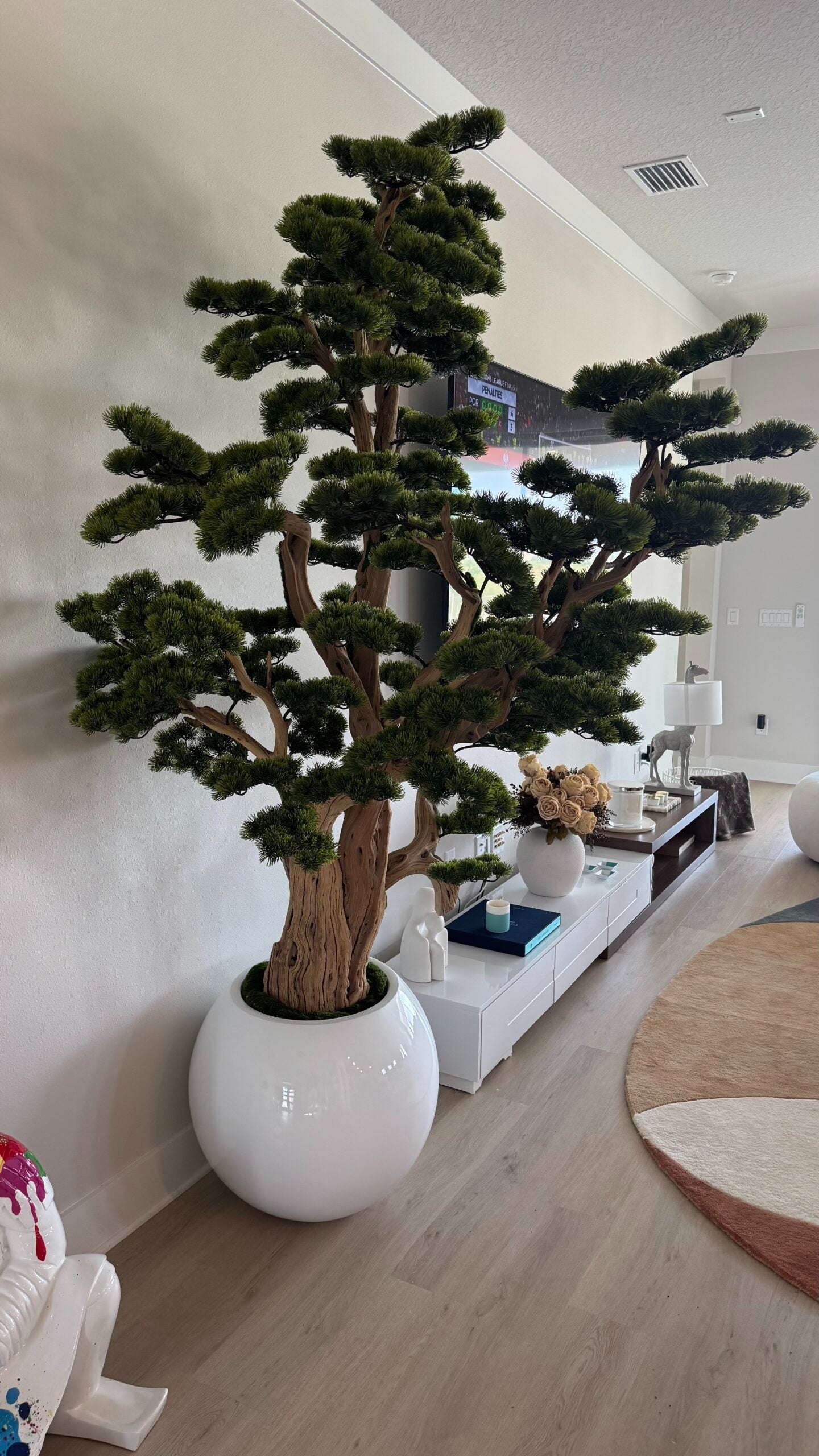 Bonsai in einer runden weißen Vase