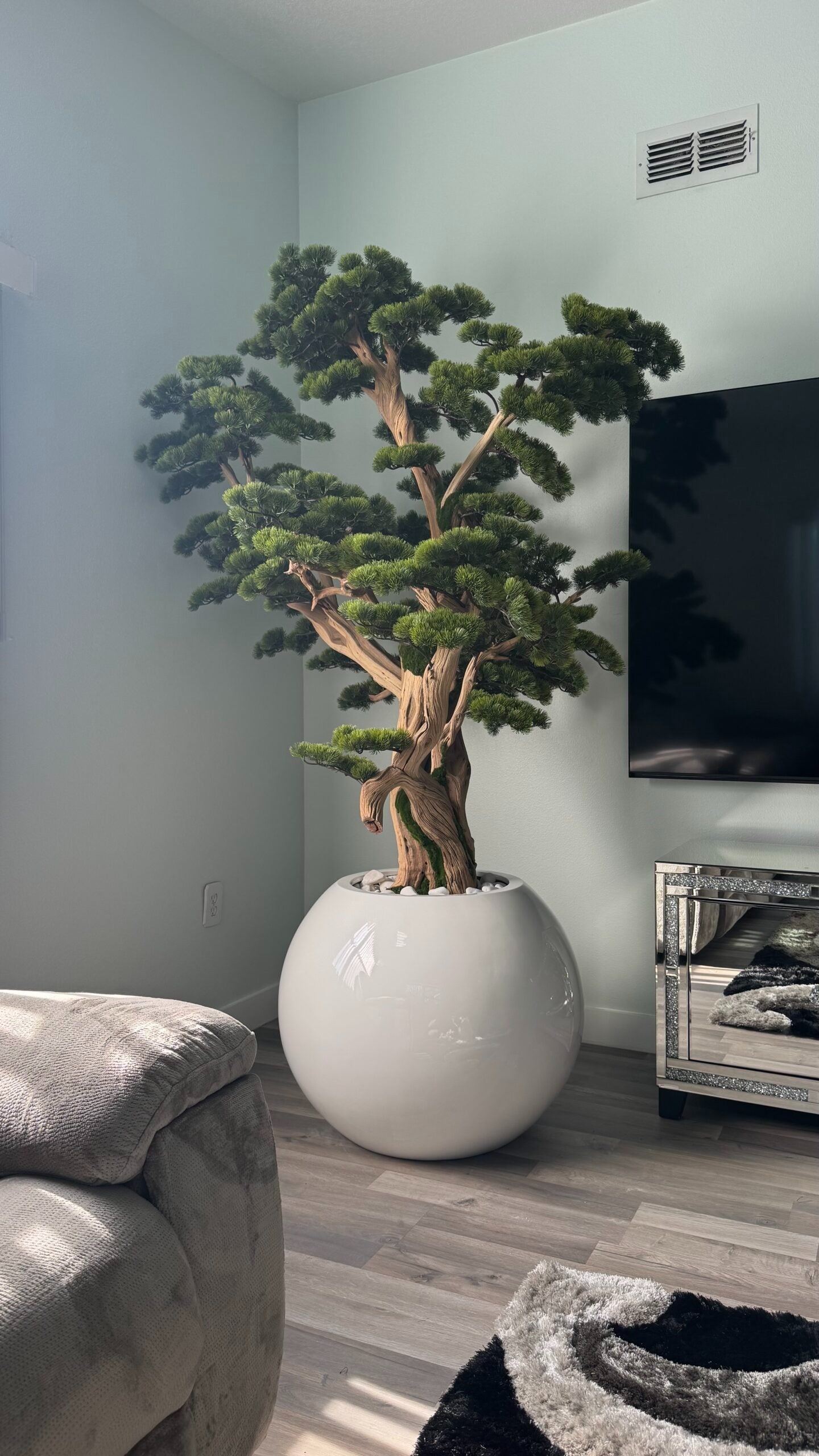 Bonsai „2,4 m“ in einem runden weißen Pflanzgefäß